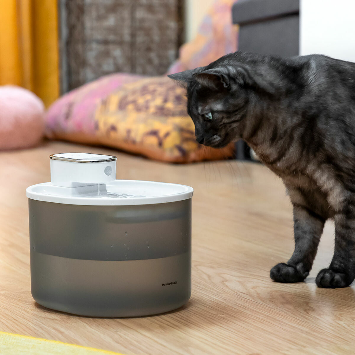 V10HDF6241A05202676A1190A639DD42E367R5279732P1